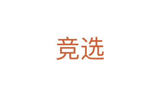 竞选