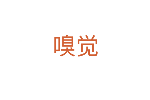 嗅觉