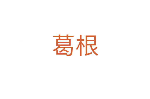 葛根