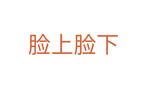 脸上脸下