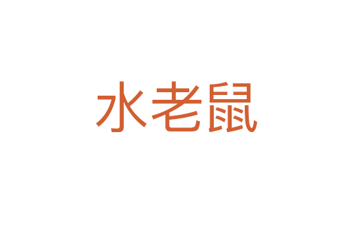 水老鼠