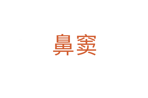 鼻窦