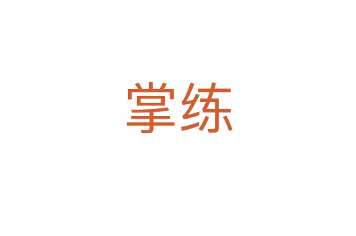 掌练