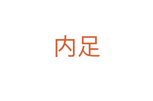 内足