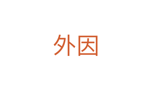 外因