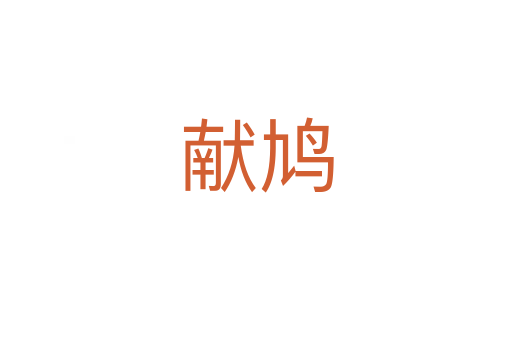 献鸠