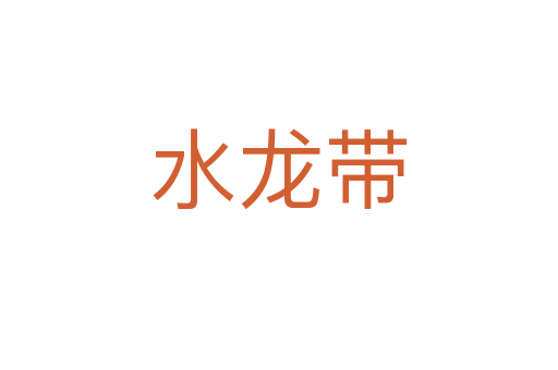 水龙带