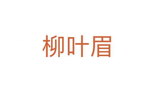 柳叶眉
