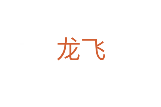 龙飞