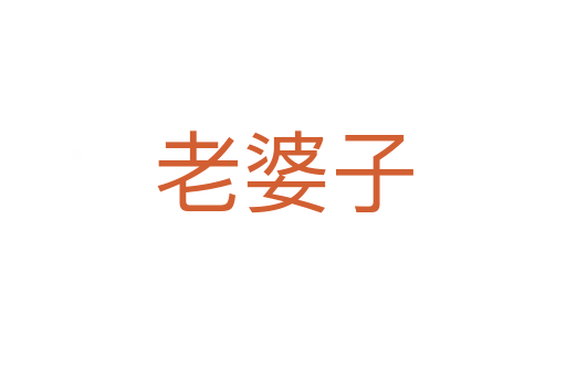 老婆子