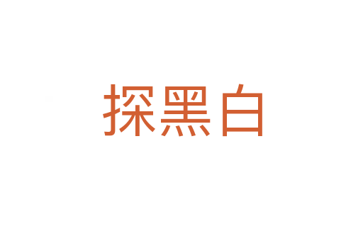 探黑白