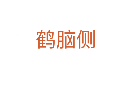 鹤脑侧