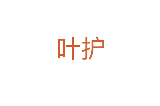 叶护