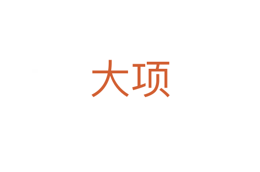 大项