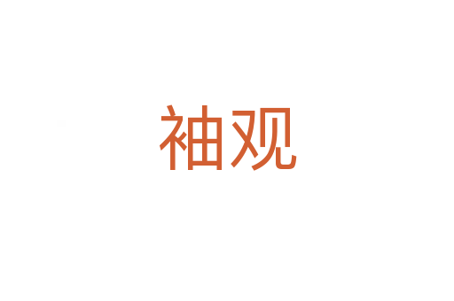 袖观
