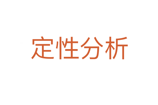定性分析