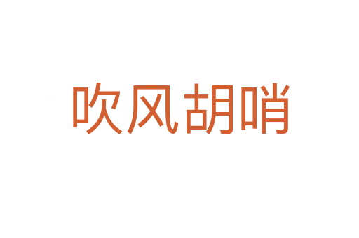 吹风胡哨