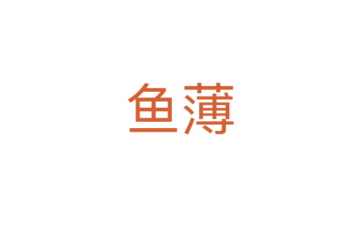 鱼薄