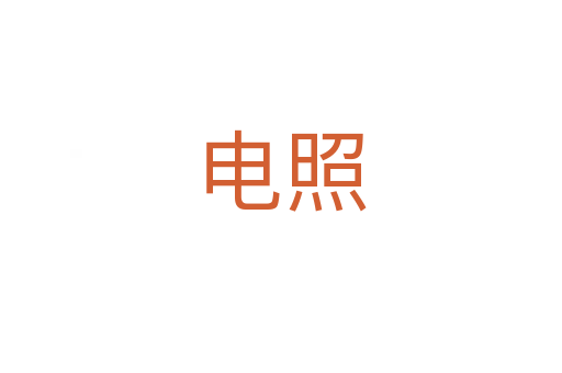 电照