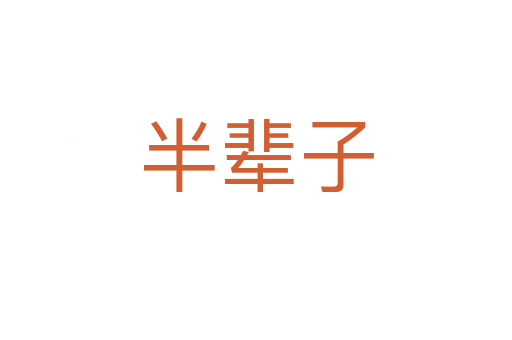 半辈子