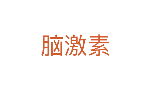脑激素