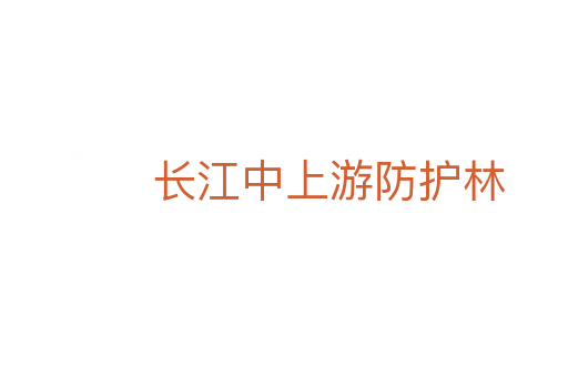 长江中上游防护林