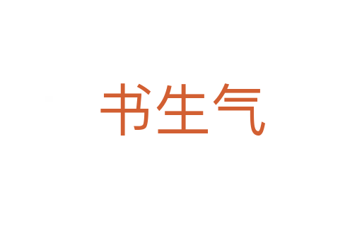 书生气