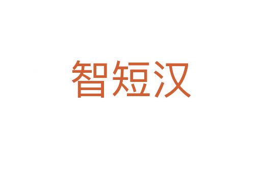 智短汉