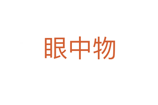 眼中物