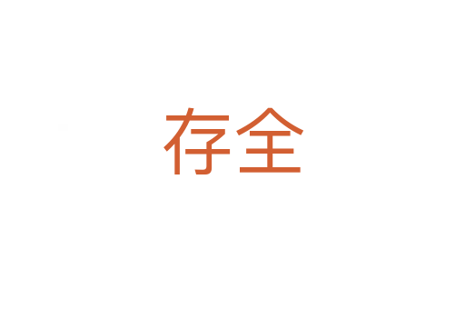 存全