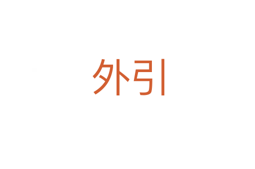 外引