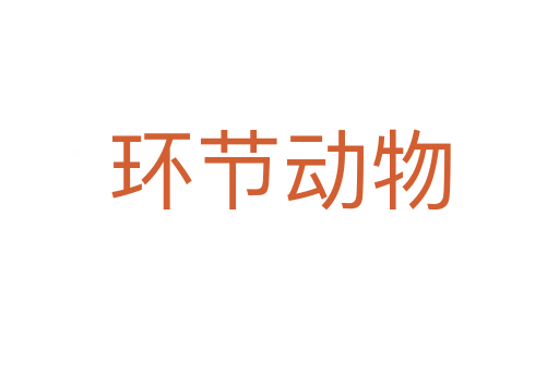 环节动物