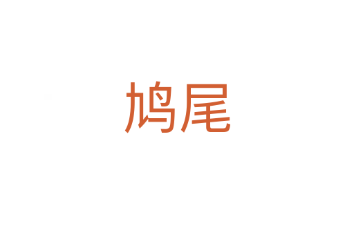 鸠尾
