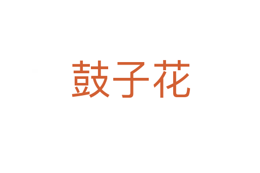 鼓子花