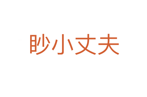 眇小丈夫