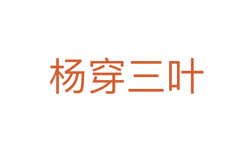 杨穿三叶