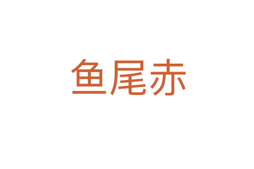 鱼尾赤