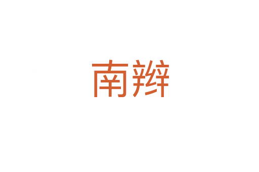 南辫