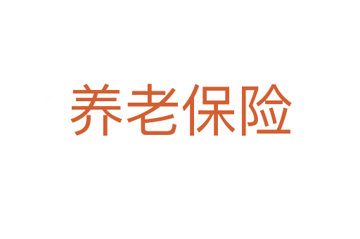 养老保险