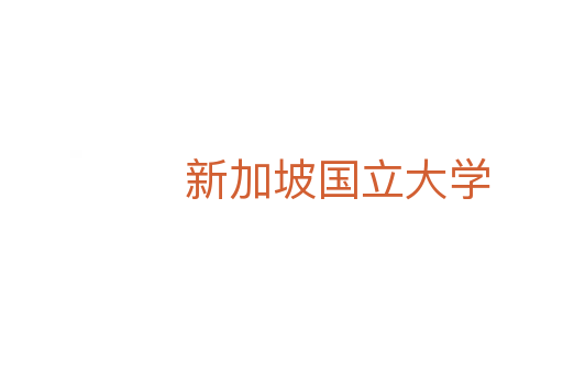 新加坡国立大学