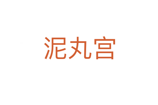 泥丸宫