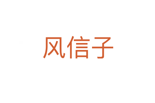 风信子