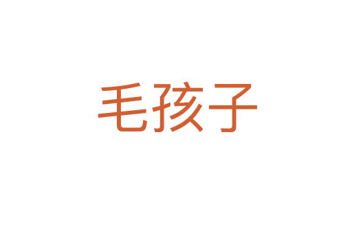 毛孩子