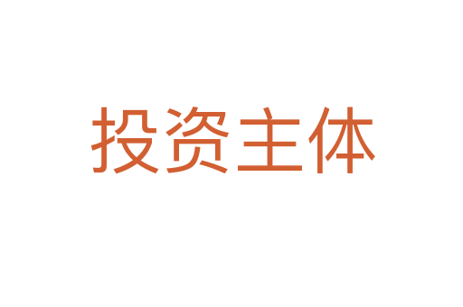 投资主体
