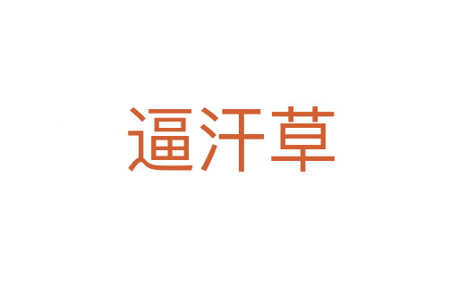 逼汗草