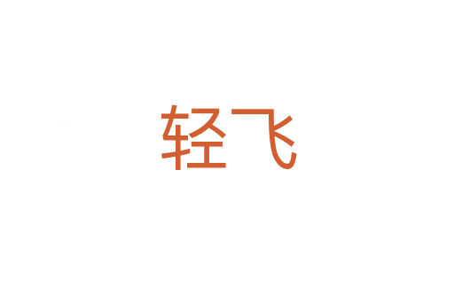 轻飞