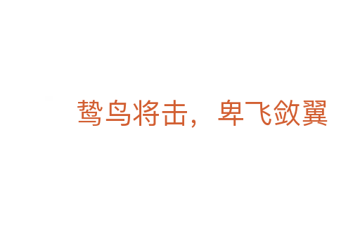 鸷鸟将击,卑飞敛翼