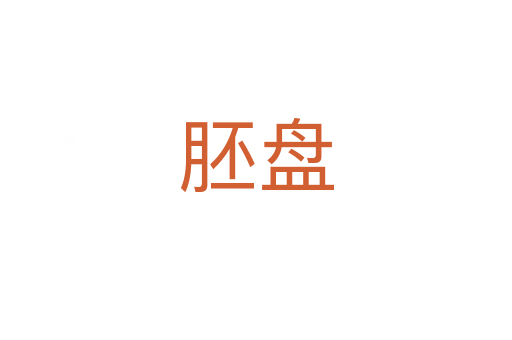 胚盘