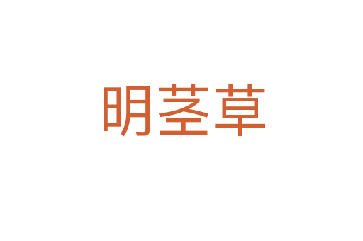 明茎草