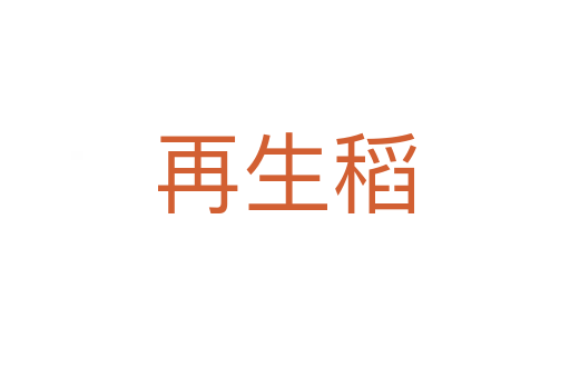再生稻